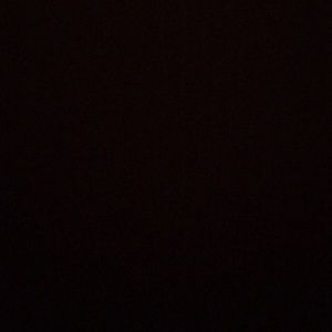 Meet your Posher, Kat